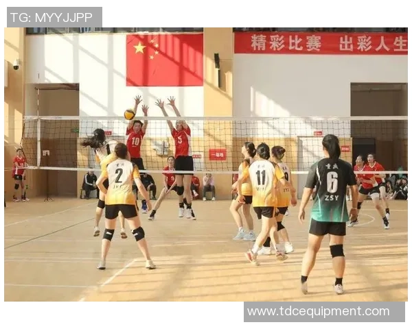 重庆排球队选拔赛背后的拼搏故事与奋斗历程全景回顾